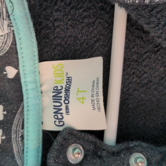 Boys 4T Hooded Sweatshirt - Picture 3 of 4